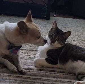 Meet your Posher, Eli